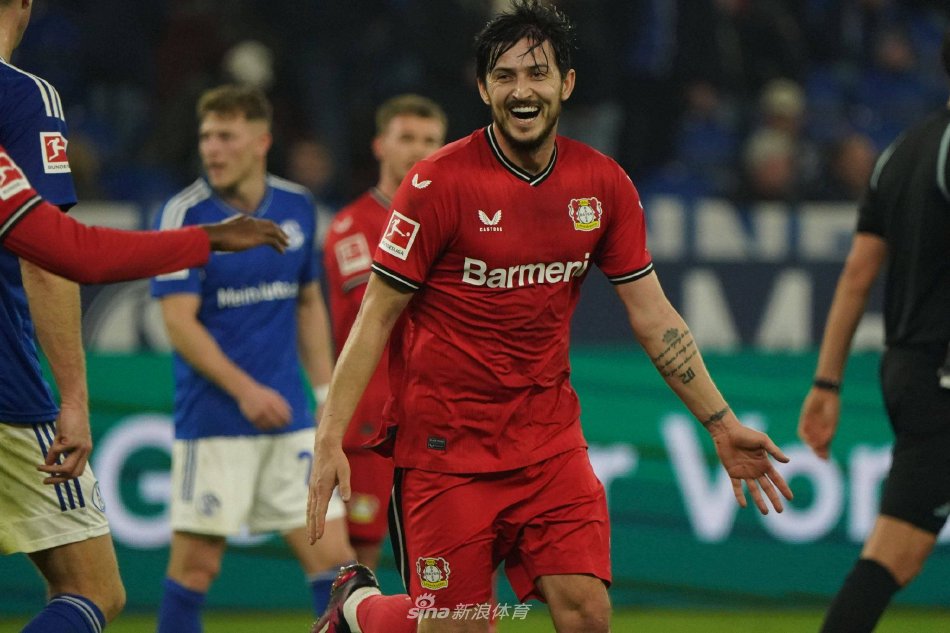 虽不算逊色 虽不算逊色